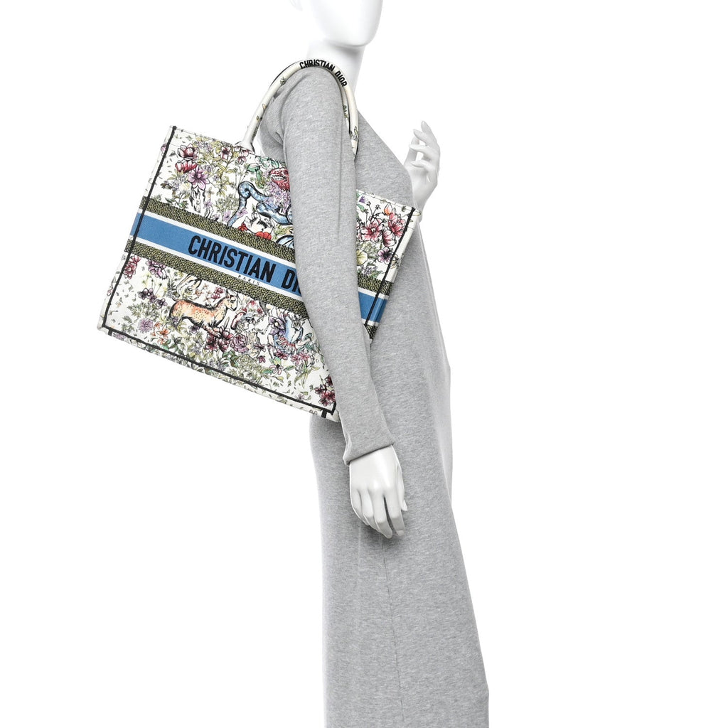 Christian Dior Canvas Embroidered Large D-Constellation Book Tote Latte Multicolor