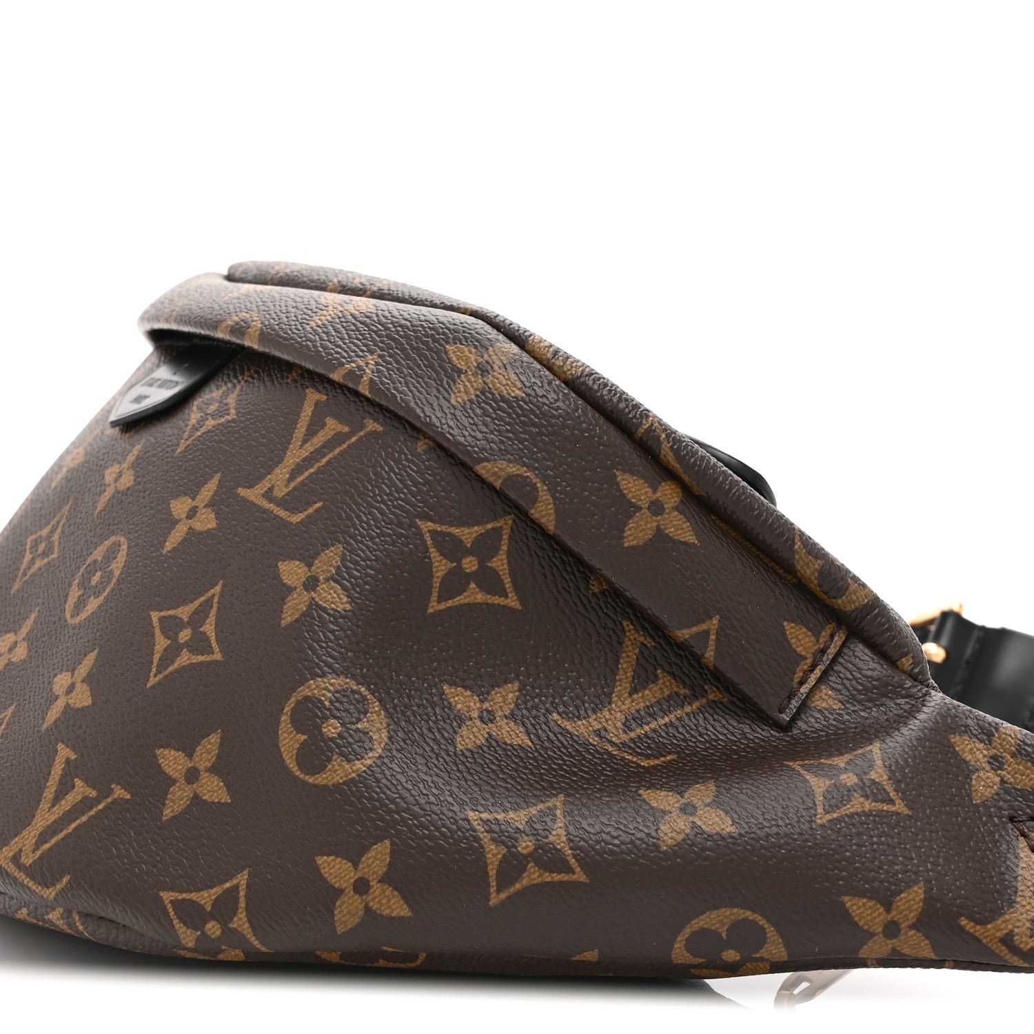 Louis Vuitton Monogram My LV World Tour Bumbag