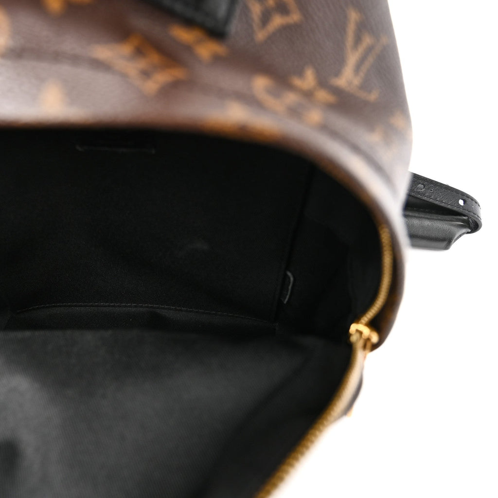 Louis Vuitton Reverse Monogram Palm Springs Backpack PM