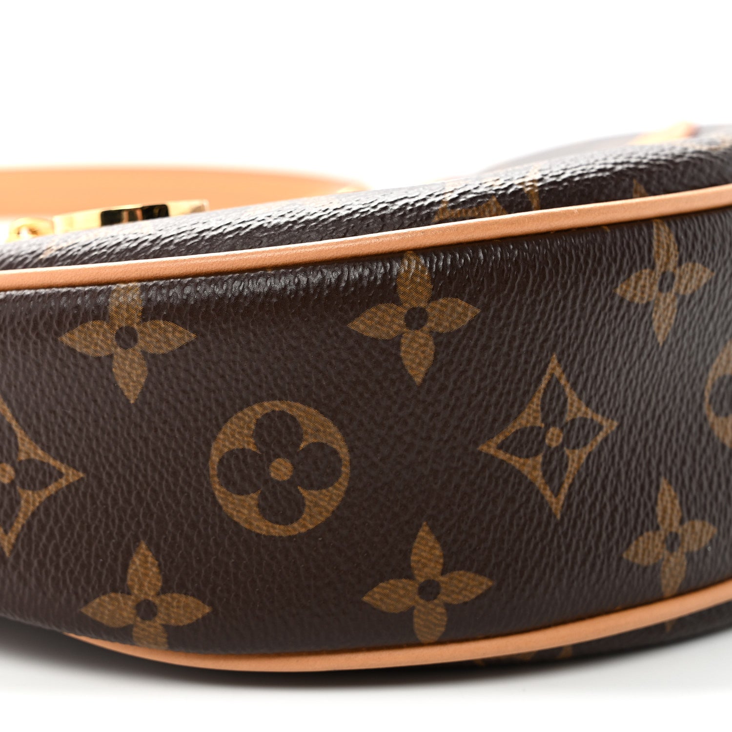 Louis Vuitton Monogram Loop