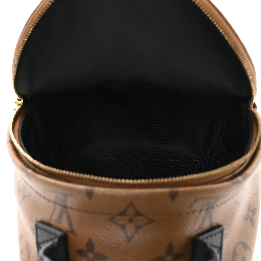 Louis Vuitton Reverse Monogram Palm Springs Backpack Mini