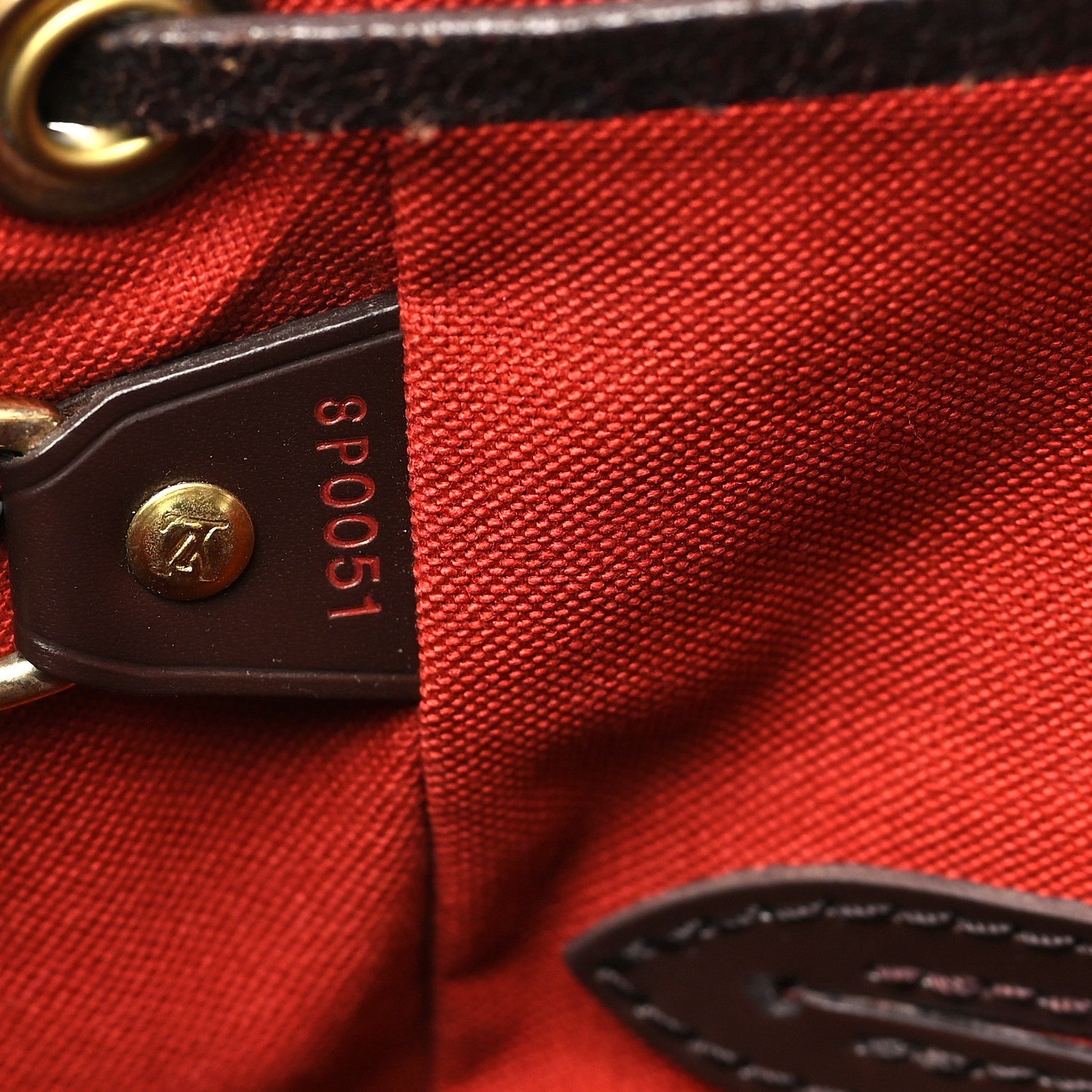 Louis Vuitton Damier Ebene Montsouris MM Backpack