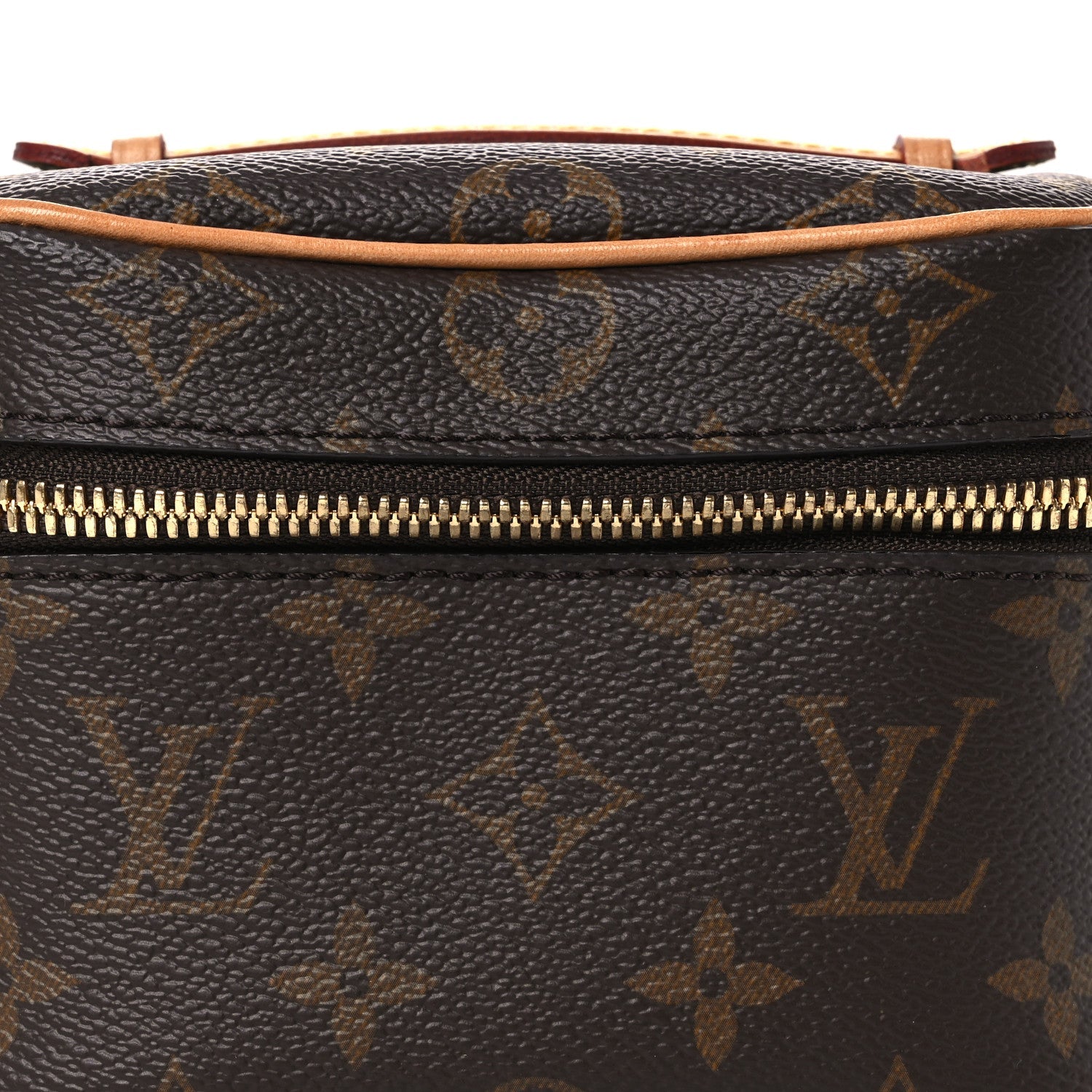 Louis Vuitton Monogram Nano Nice