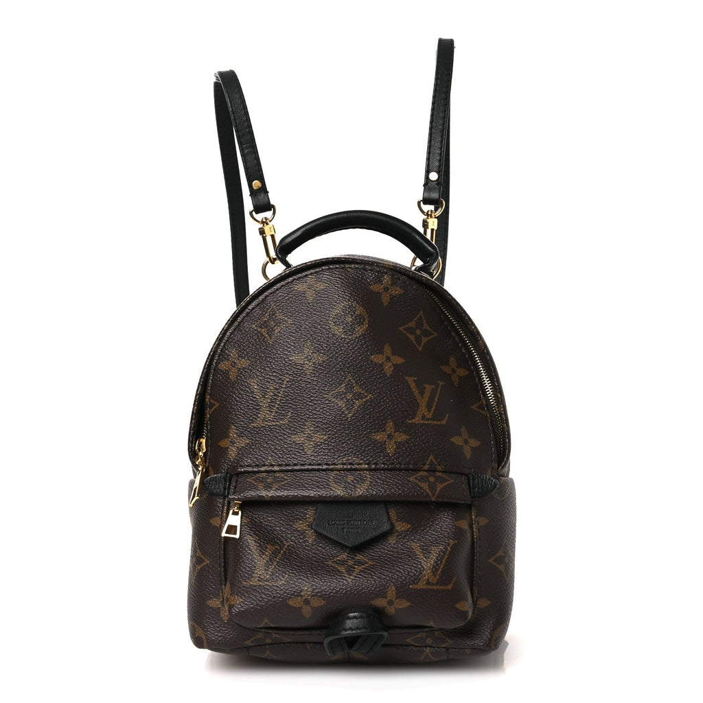 Louis Vuitton Monogram Palm Springs Backpack Mini