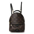 Louis Vuitton Monogram Palm Springs Backpack Mini