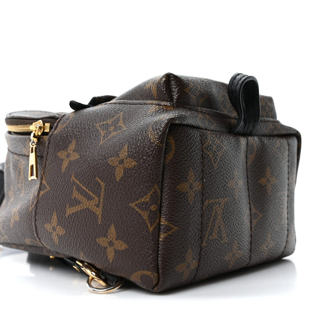 Louis Vuitton Monogram Palm Springs Backpack Mini