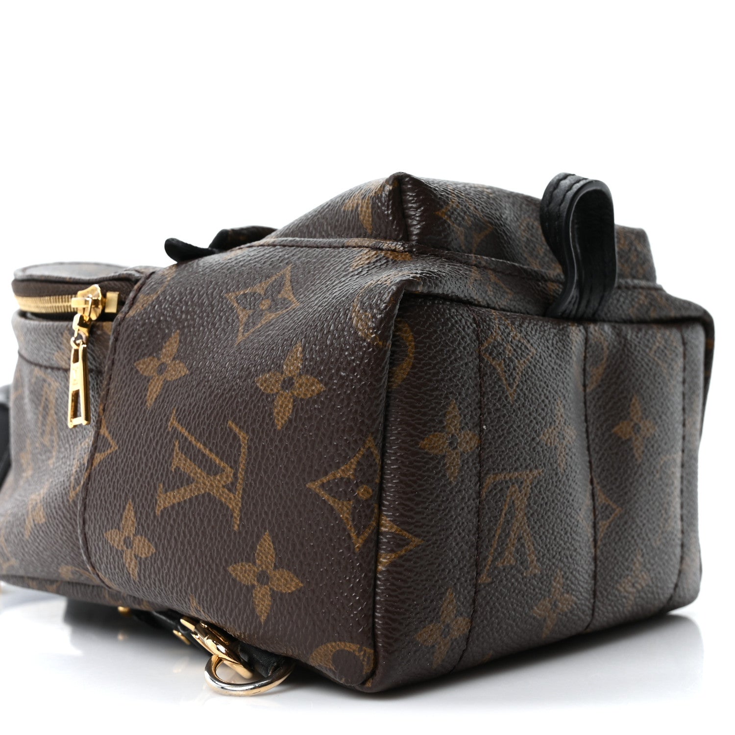Louis Vuitton Monogram Palm Springs Backpack Mini