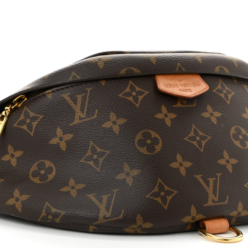 Louis Vuitton Monogram Bumbag