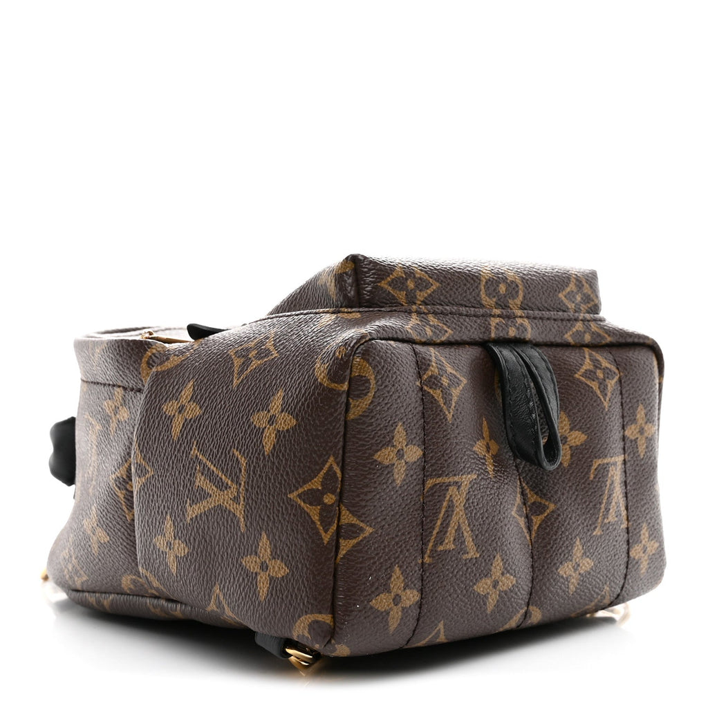 Louis Vuitton Monogram Palm Springs Backpack Mini