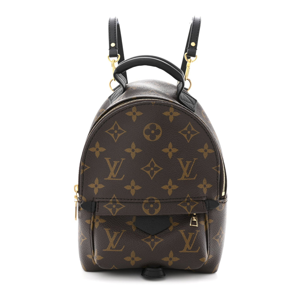 Louis Vuitton Monogram Palm Springs Backpack Mini