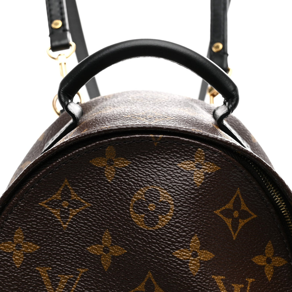 Louis Vuitton Monogram Palm Springs Backpack Mini