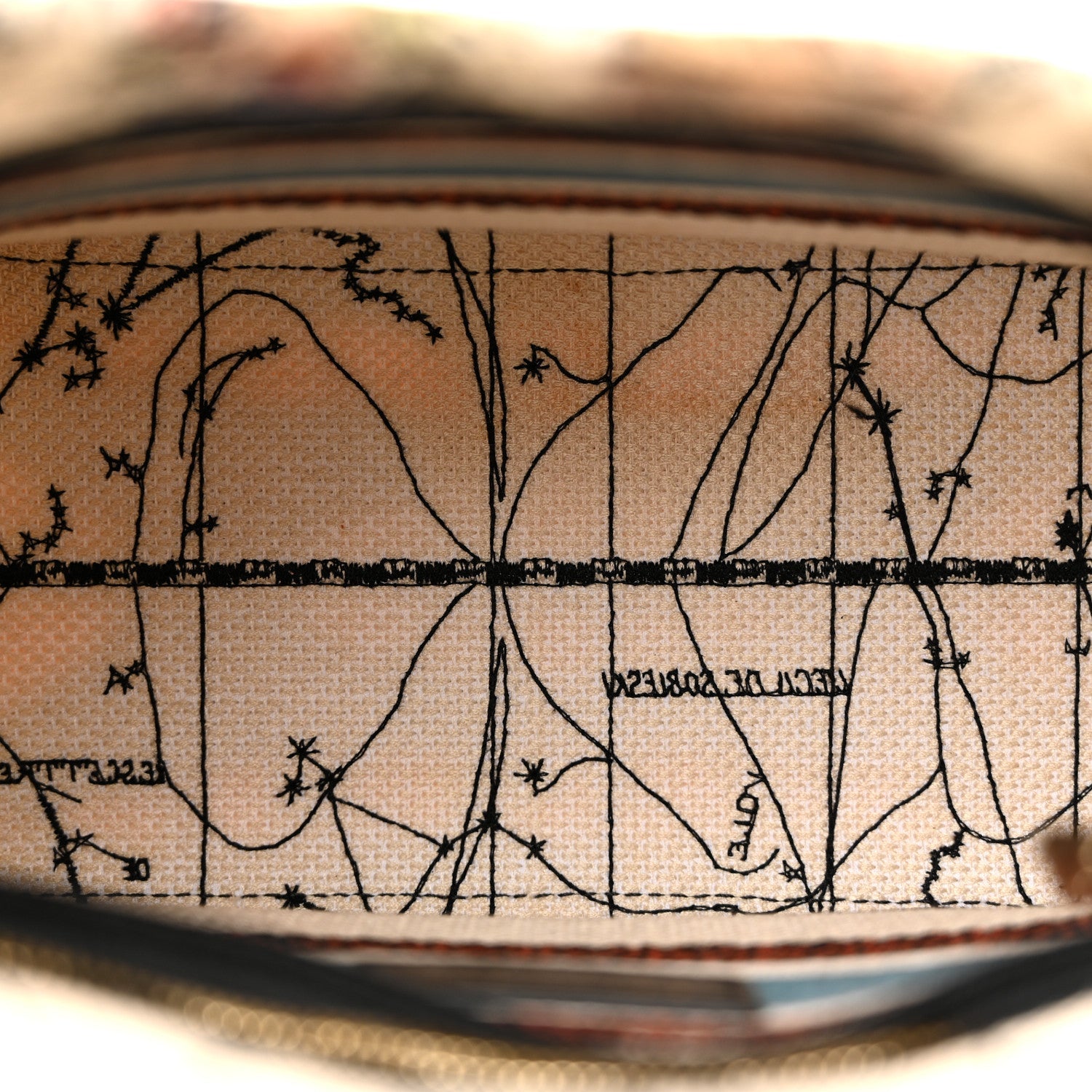 Christian Dior Canvas Constellation Embroidered Medium Lady D-Lite Latte Multicolor