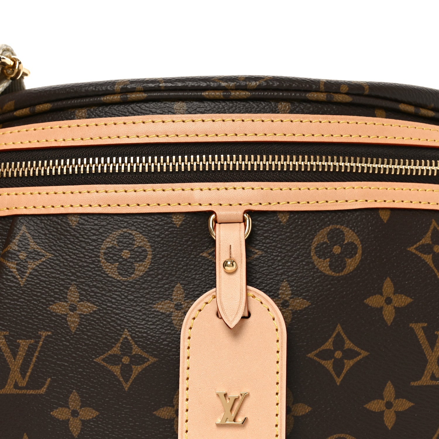 Louis Vuitton Monogram High Rise Bumbag