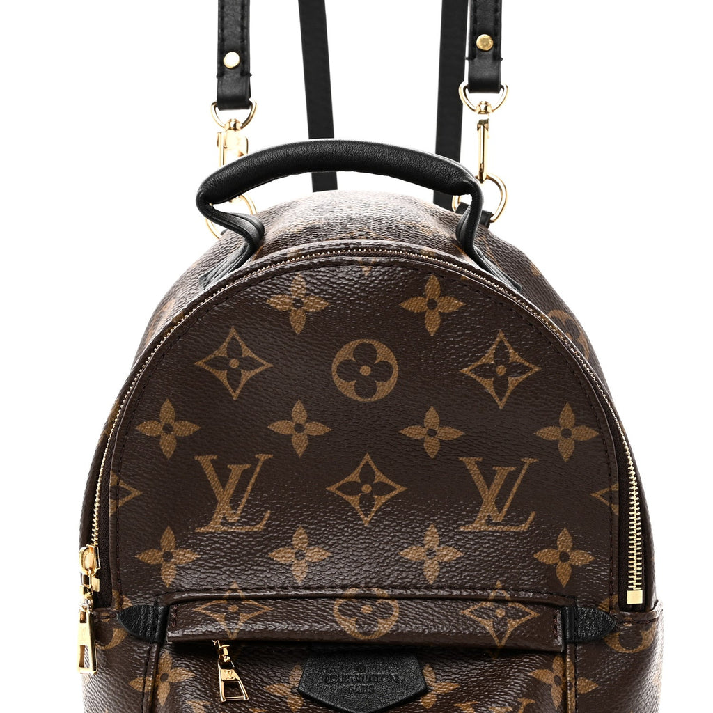 Louis Vuitton Monogram Palm Springs Backpack Mini