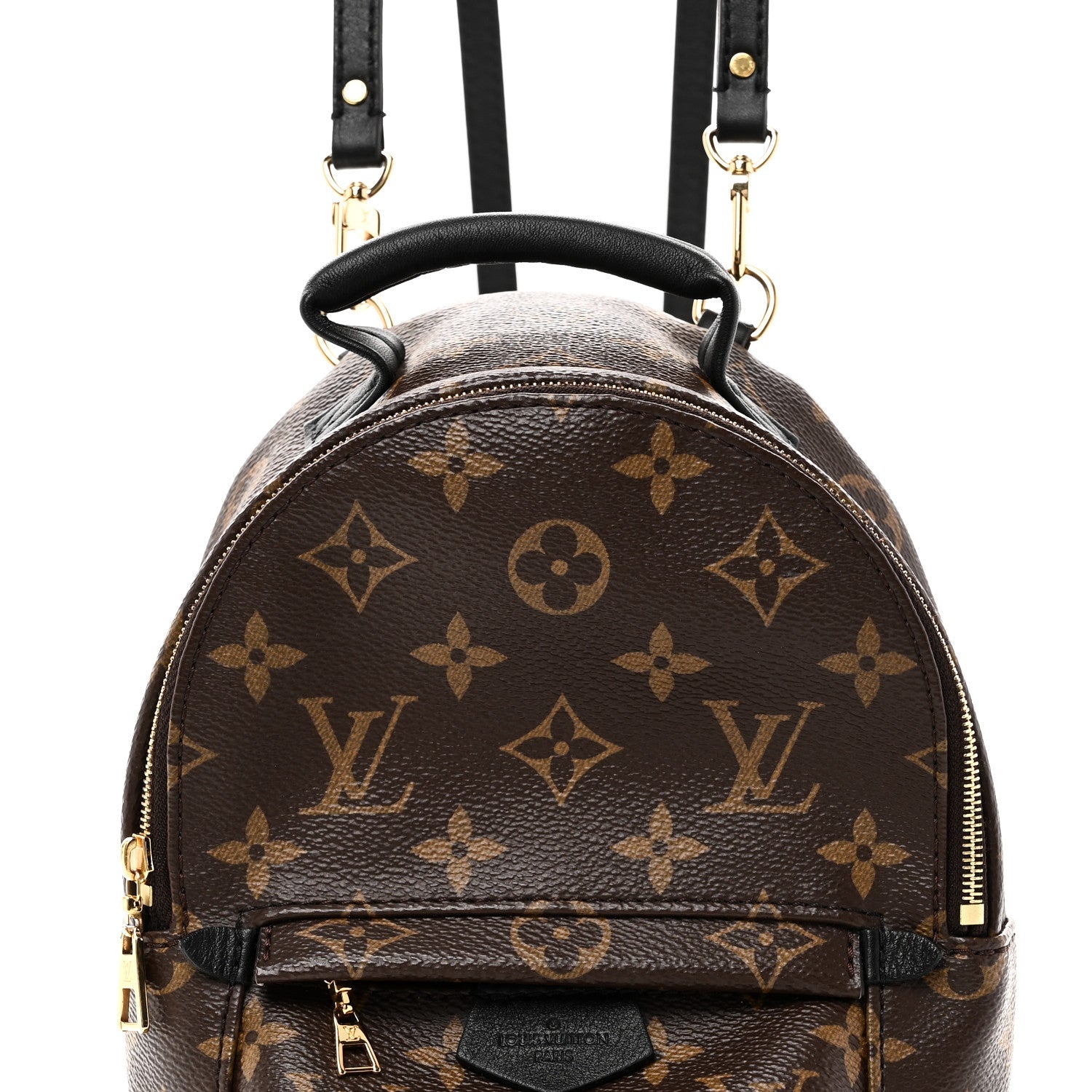 Louis Vuitton Monogram Palm Springs Backpack Mini