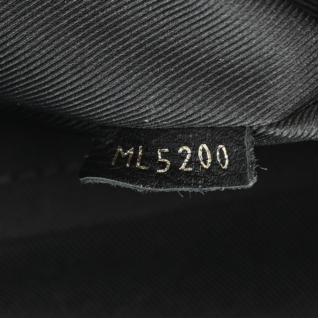 Louis Vuitton Monogram Palm Springs Backpack Mini