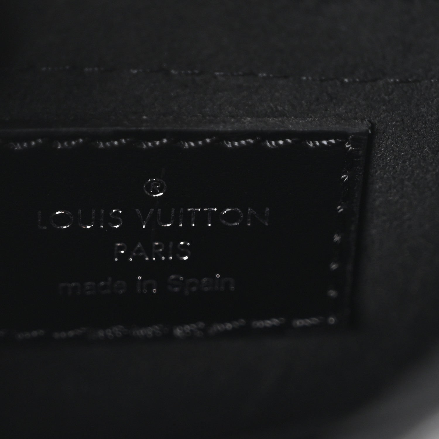 Louis Vuitton Calfskin Monogram Camera Box Vibe Black
