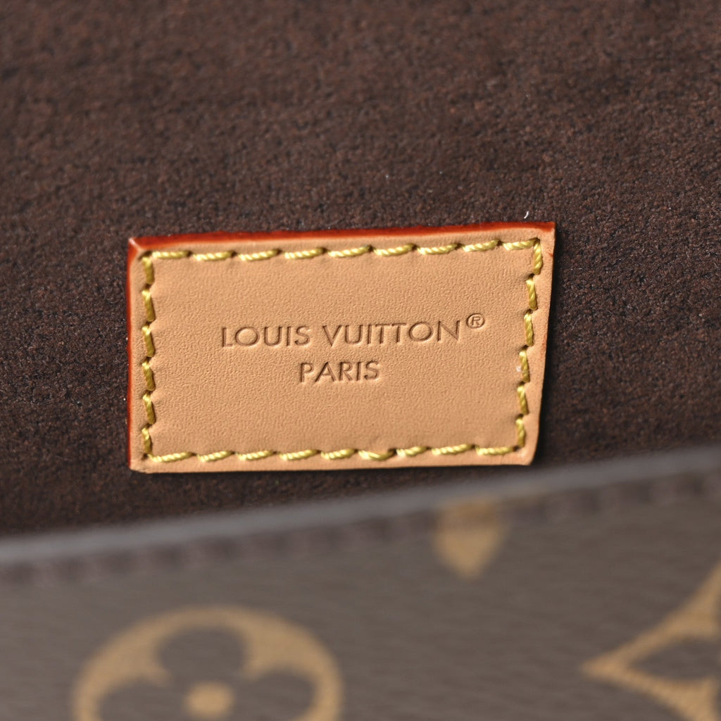 Louis Vuitton Monogram Pochette Camille