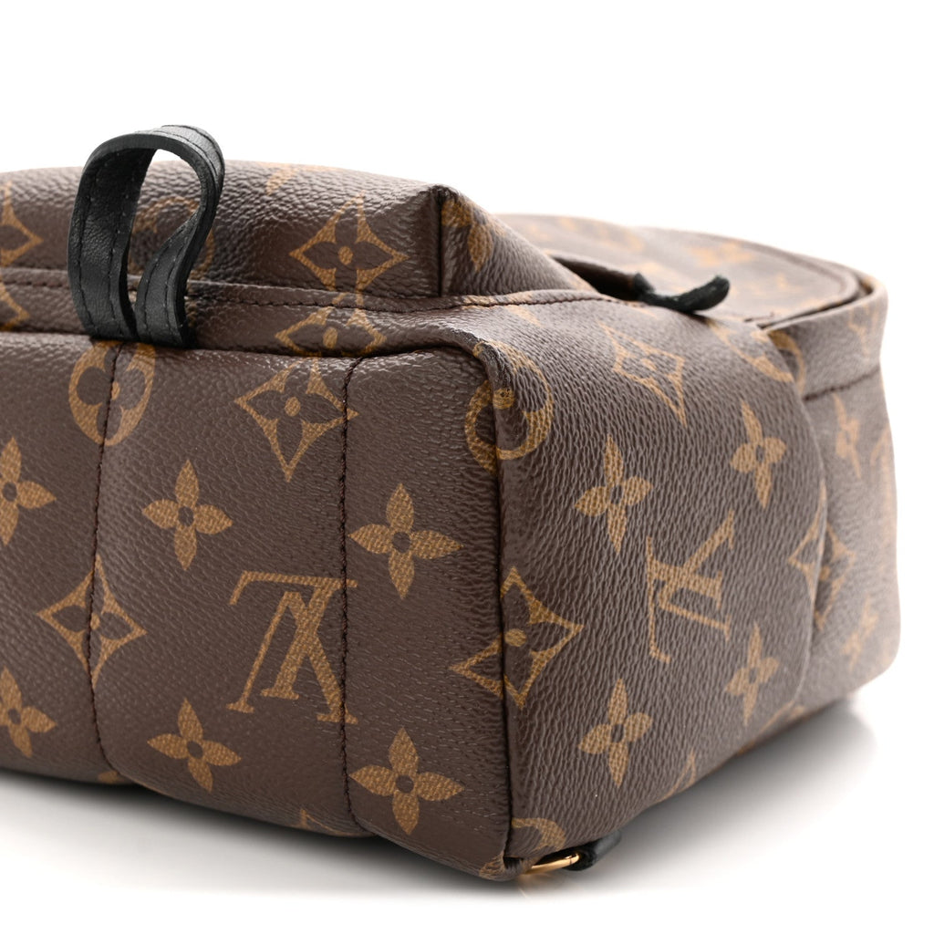 Louis Vuitton Monogram Palm Springs Backpack Mini