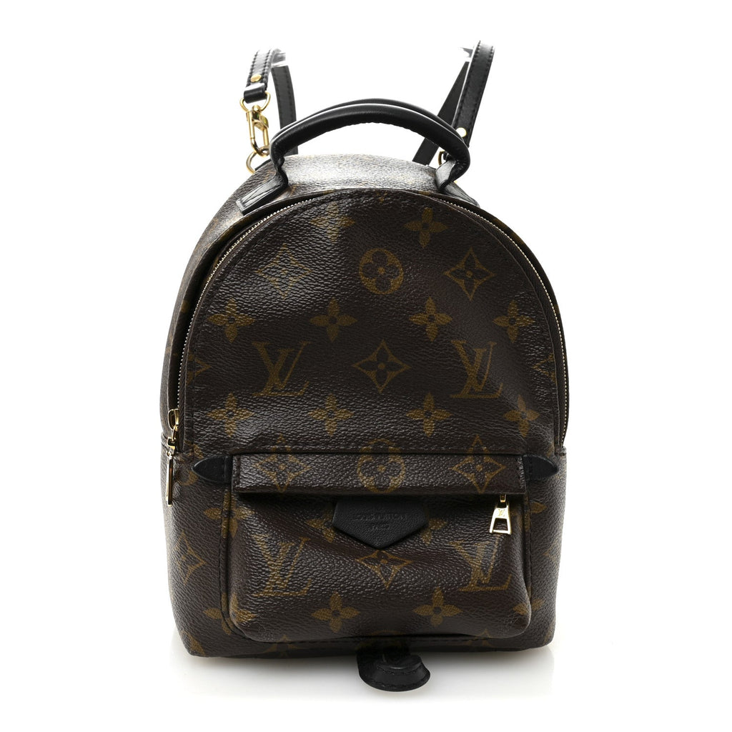 Louis Vuitton Monogram Palm Springs Backpack Mini