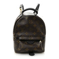 Louis Vuitton Monogram Palm Springs Backpack Mini