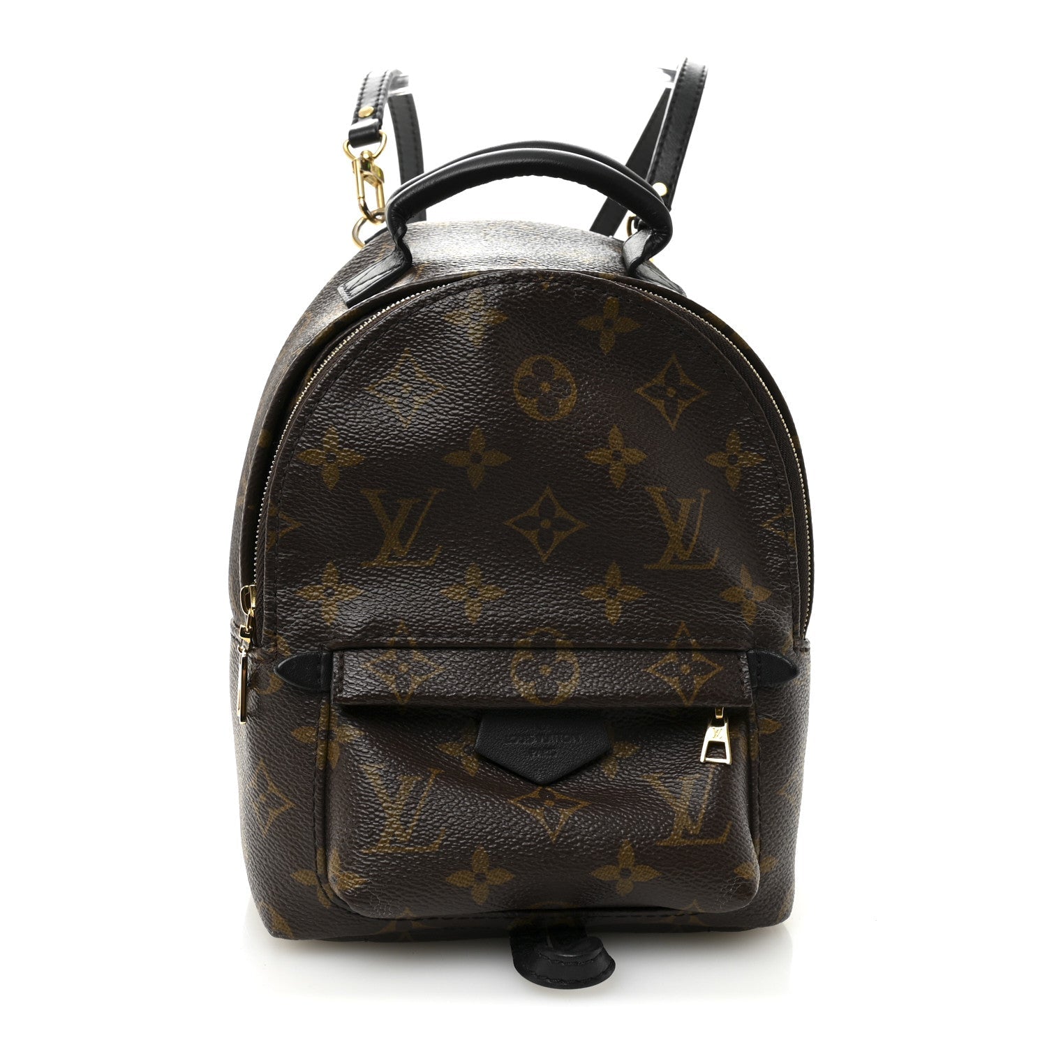 Louis Vuitton Monogram Palm Springs Backpack Mini