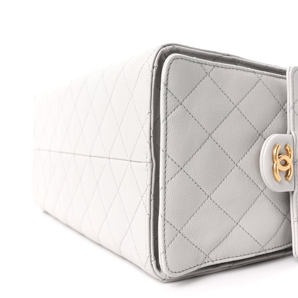 Chanel Caviar Quilted Medium Chanel 25 Handbag Light Gray