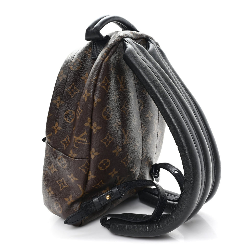 Louis Vuitton Monogram Palm Springs Backpack PM