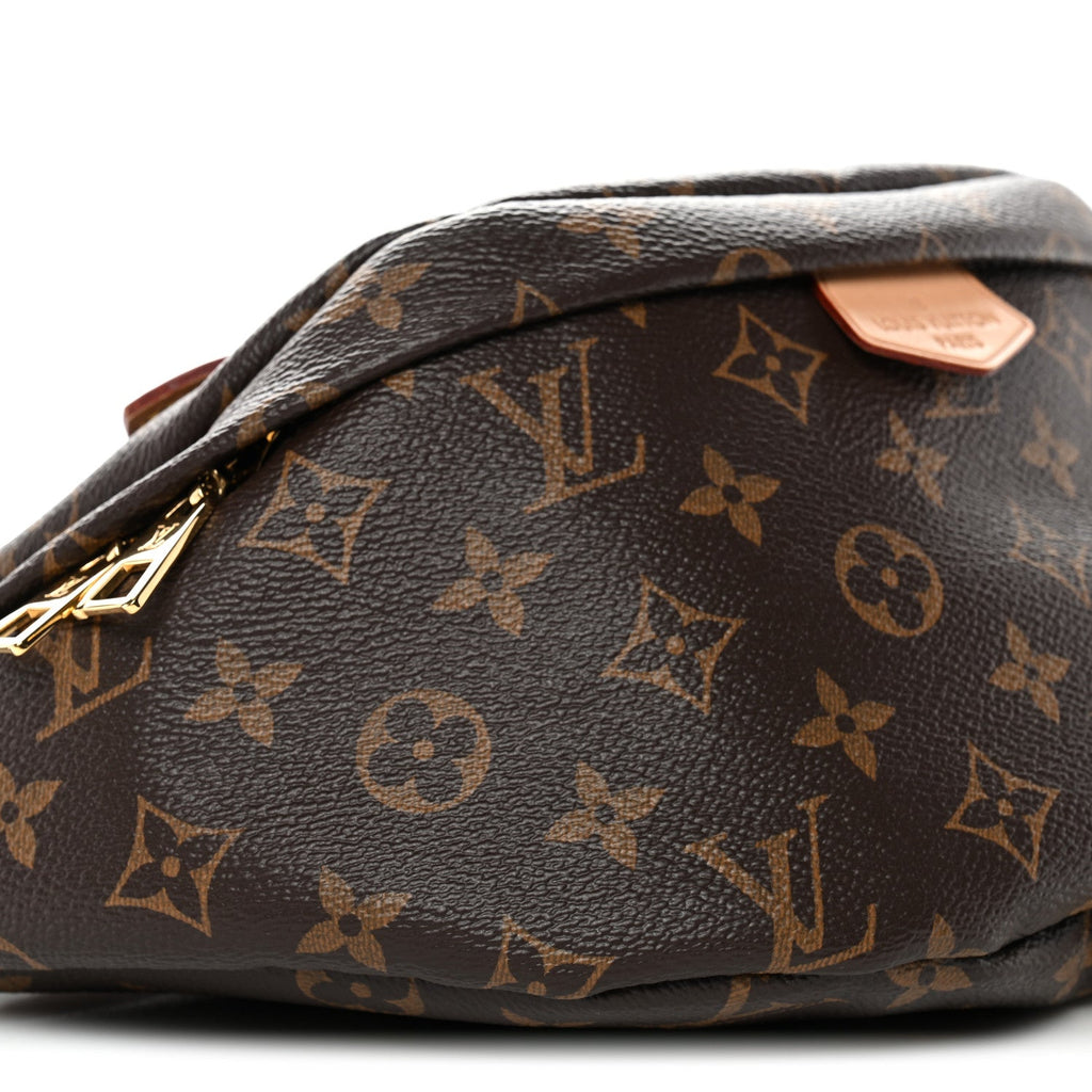 Louis Vuitton Monogram Bumbag
