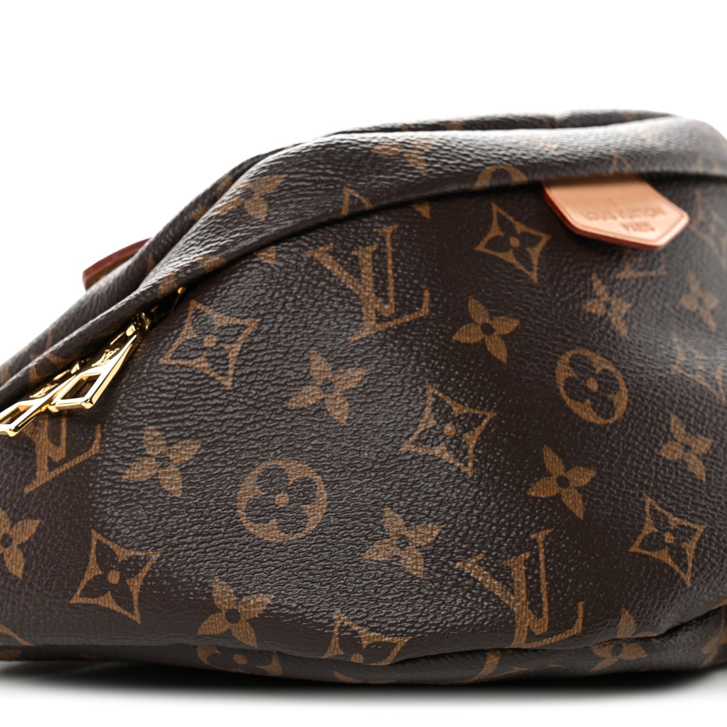 Louis Vuitton Monogram Bumbag