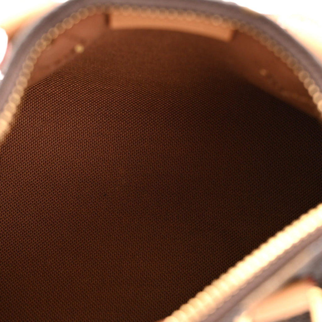 Louis Vuitton Monogram Nano Speedy Bandouliere