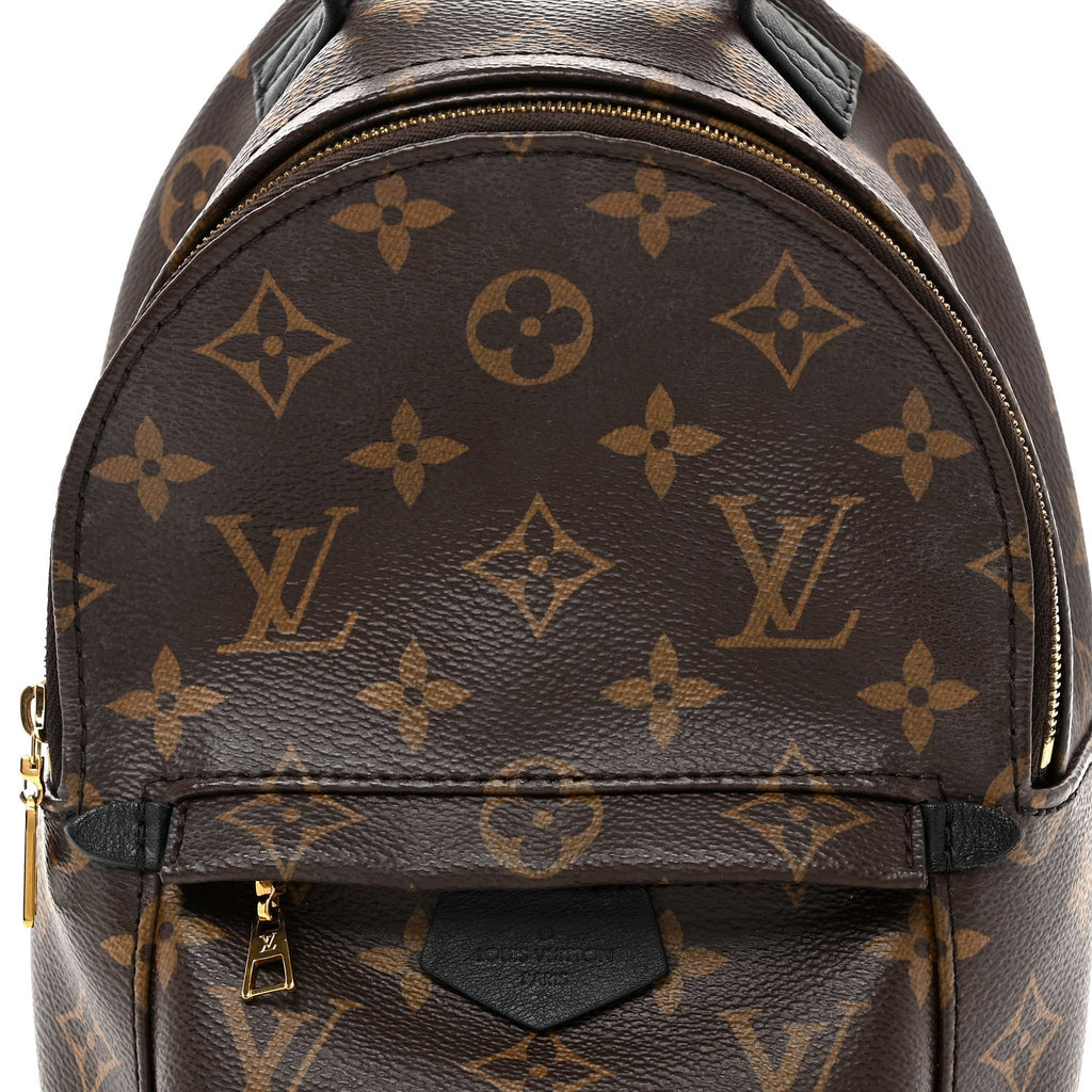 Louis Vuitton Monogram Palm Springs Backpack Mini