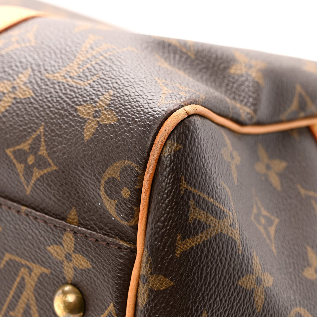 Louis Vuitton Monogram Carryall
