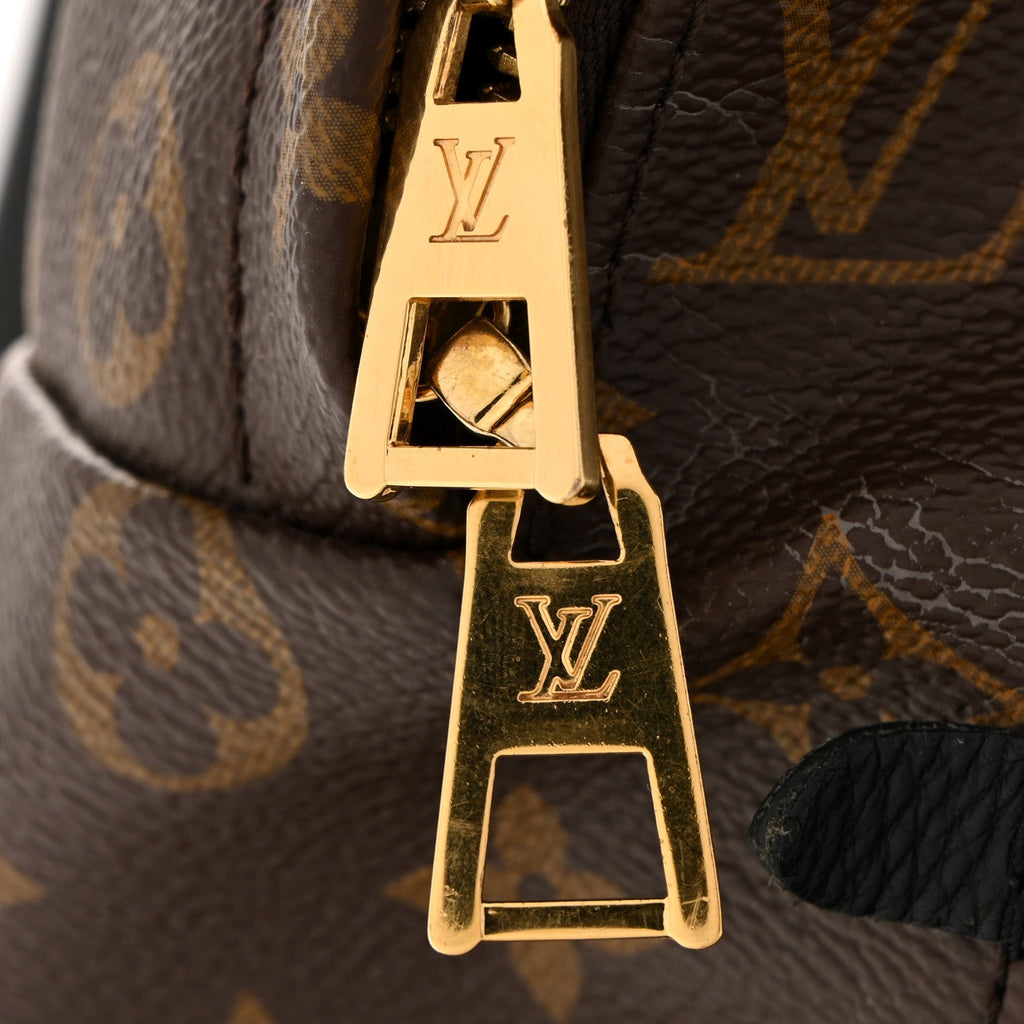 Louis Vuitton Monogram Palm Springs Backpack MM