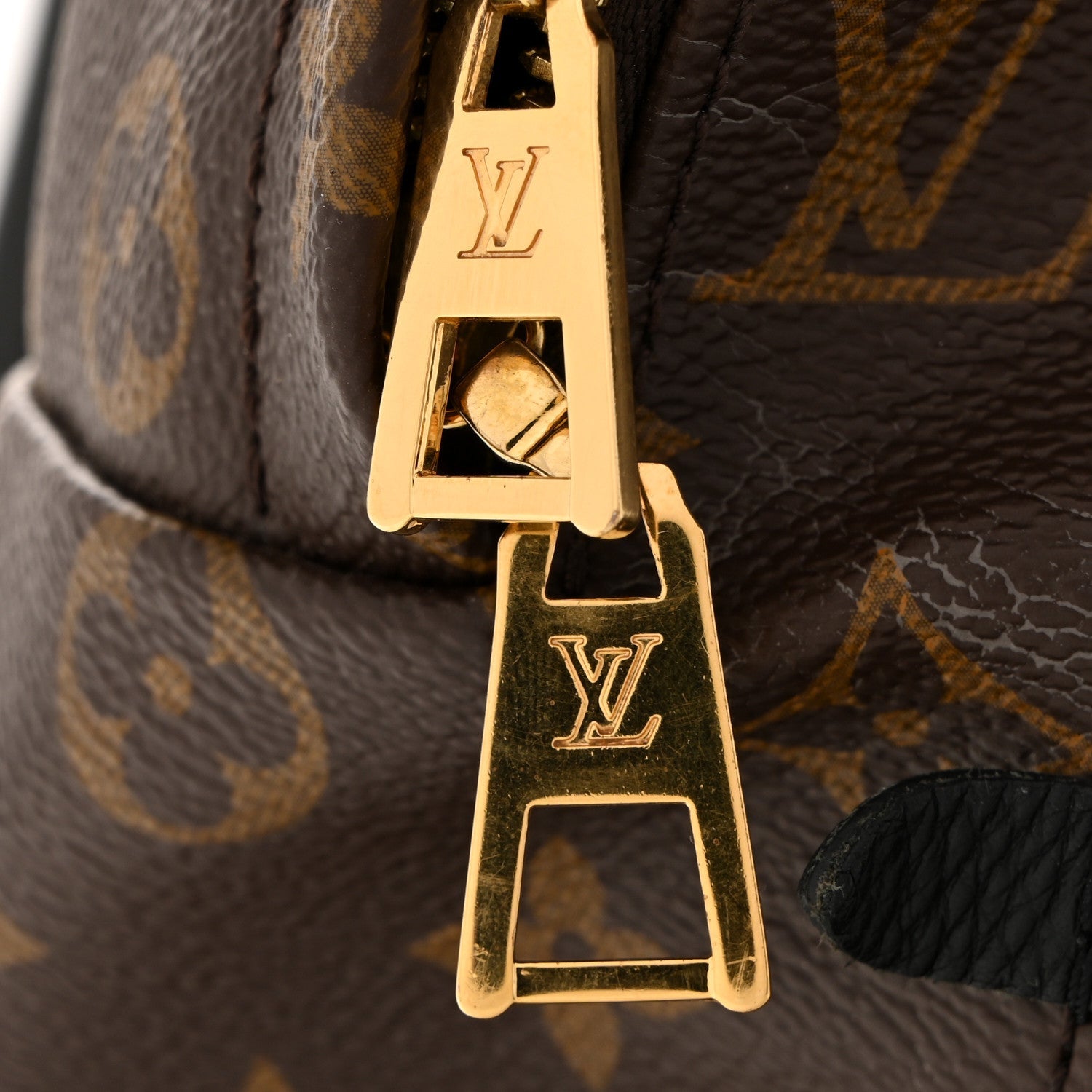 Louis Vuitton Monogram Palm Springs Backpack MM