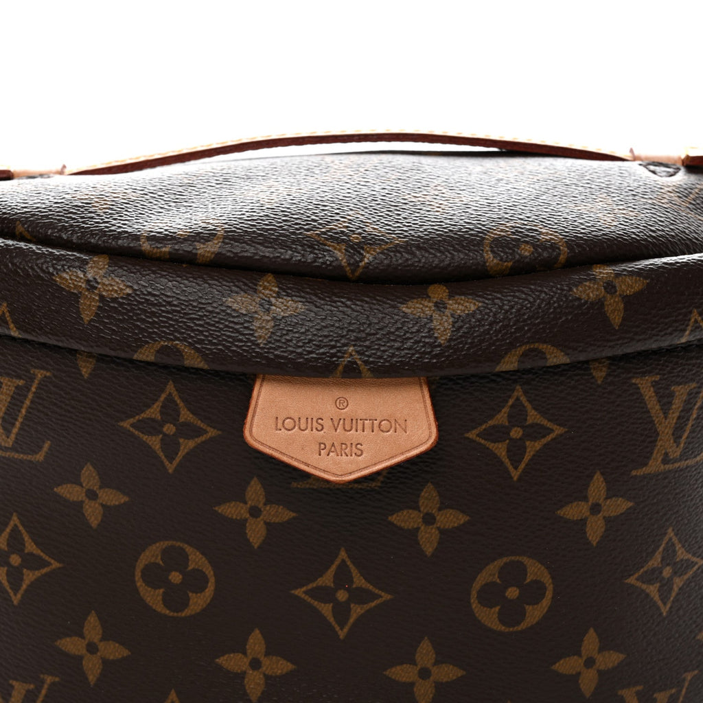 Louis Vuitton Monogram Bumbag