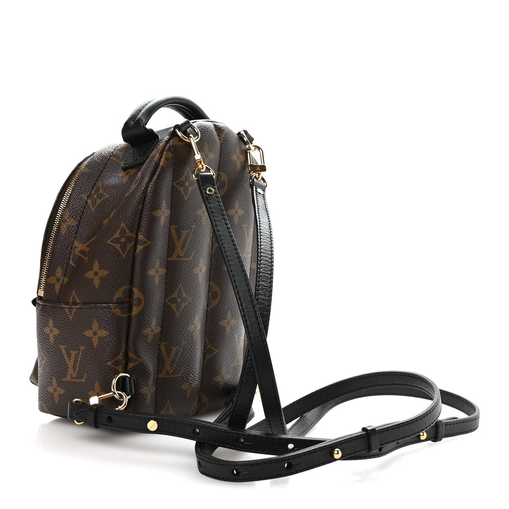 Louis Vuitton Monogram Palm Springs Backpack Mini