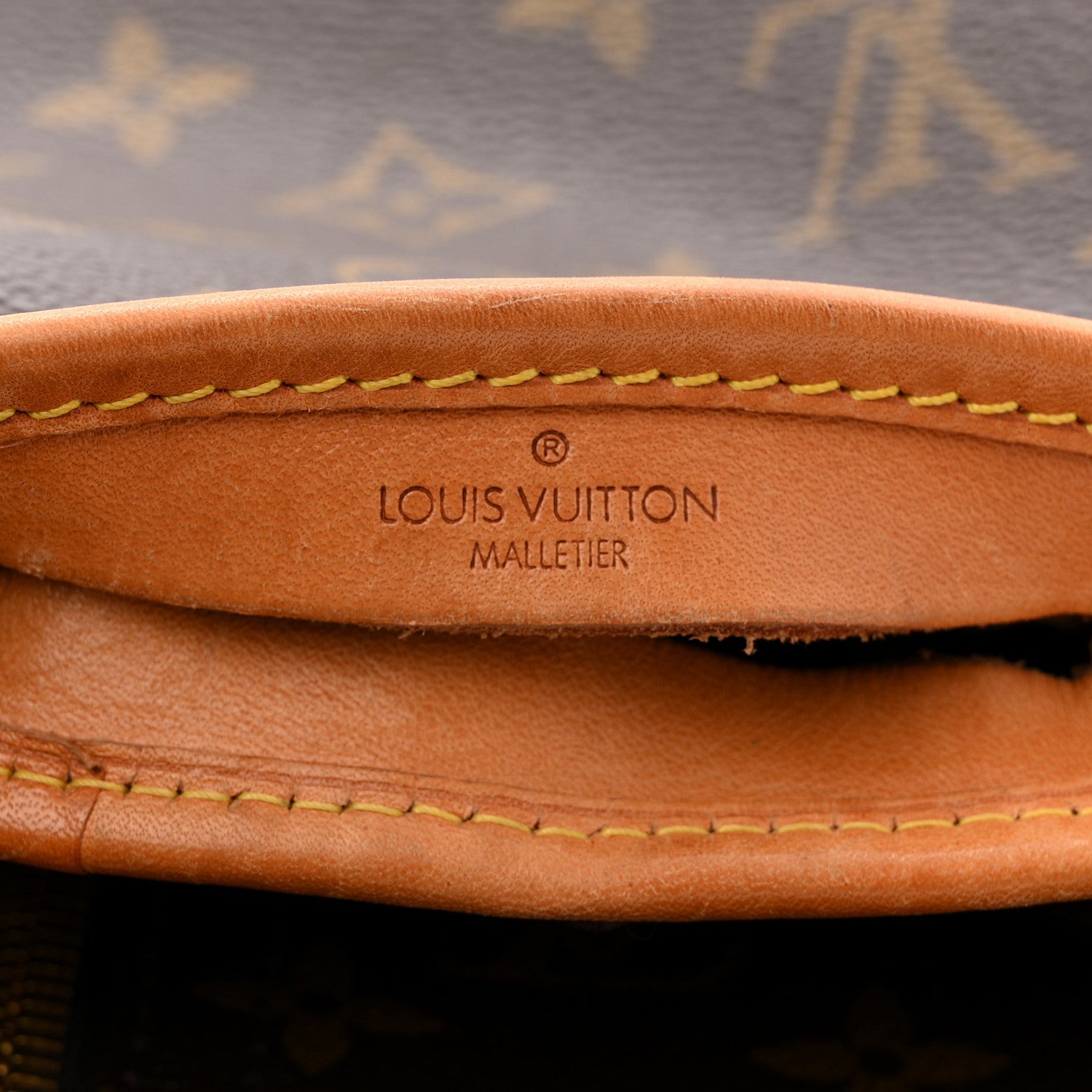 Louis Vuitton Monogram Garment Cover