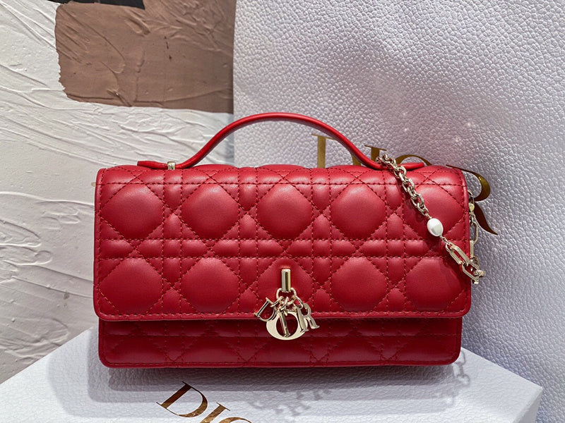 Dior Bag