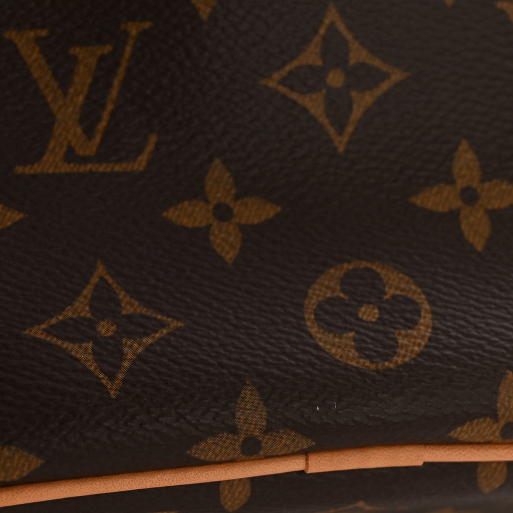 Louis Vuitton Monogram Nice Mini