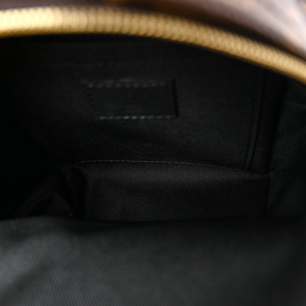 Louis Vuitton Monogram Palm Springs Backpack Mini