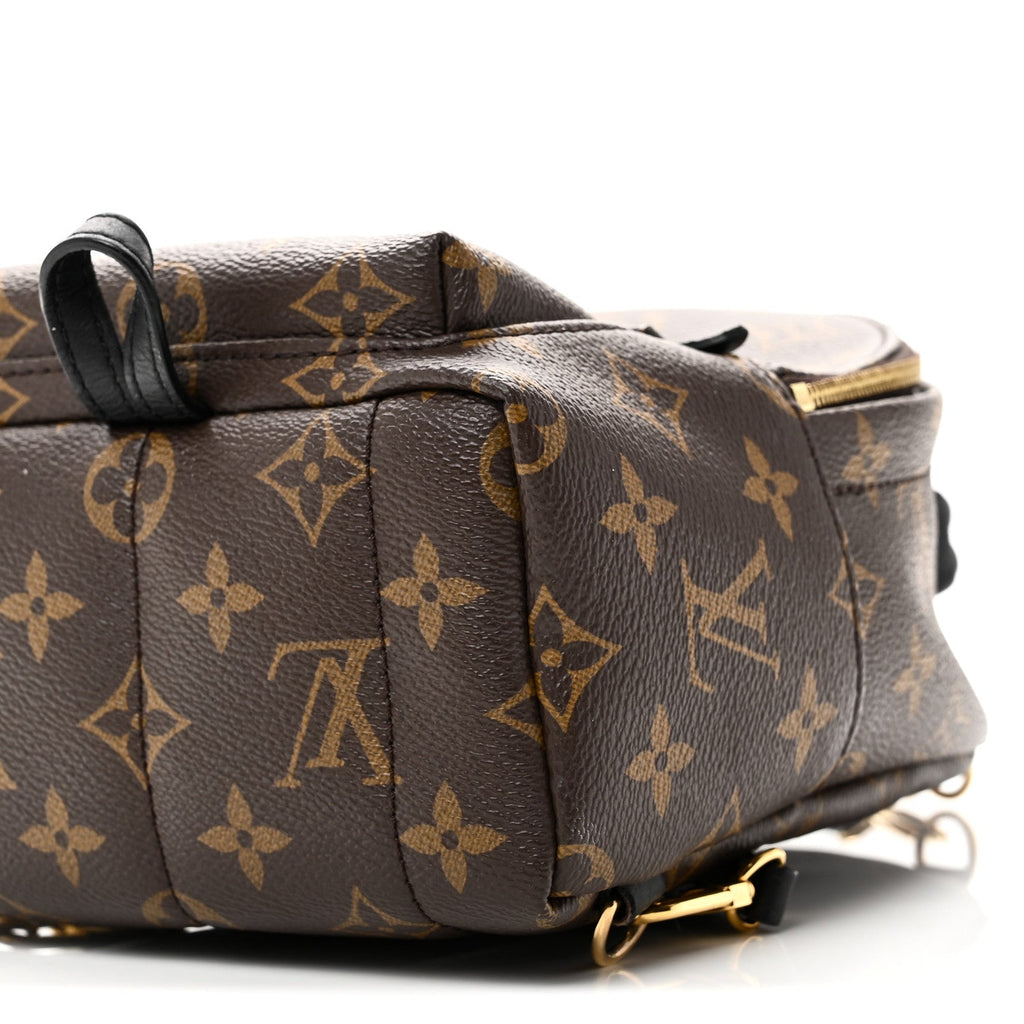 Louis Vuitton Monogram Palm Springs Backpack Mini