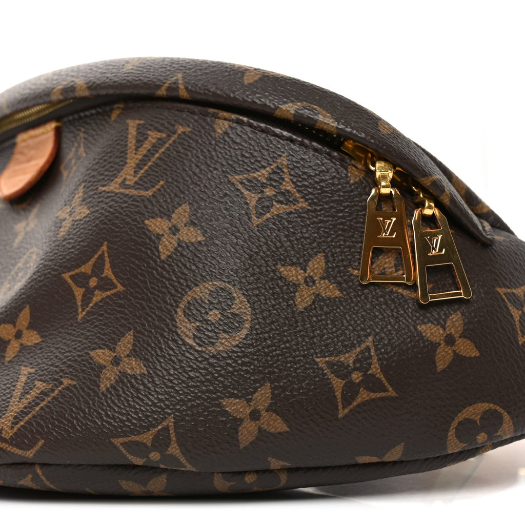 Louis Vuitton Monogram Bumbag