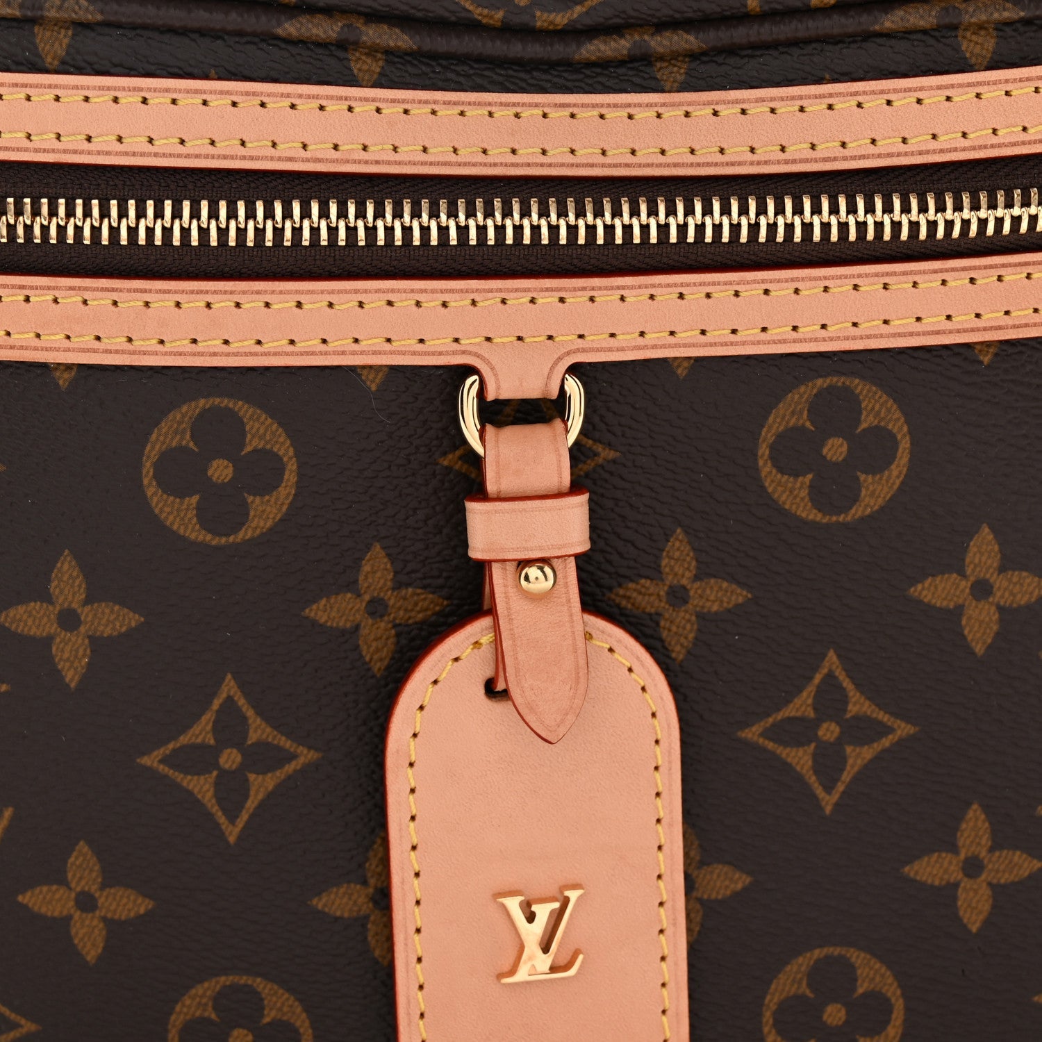 Louis Vuitton Monogram High Rise Bumbag