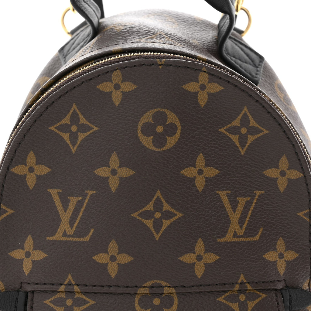 Louis Vuitton Monogram Palm Springs Backpack Mini