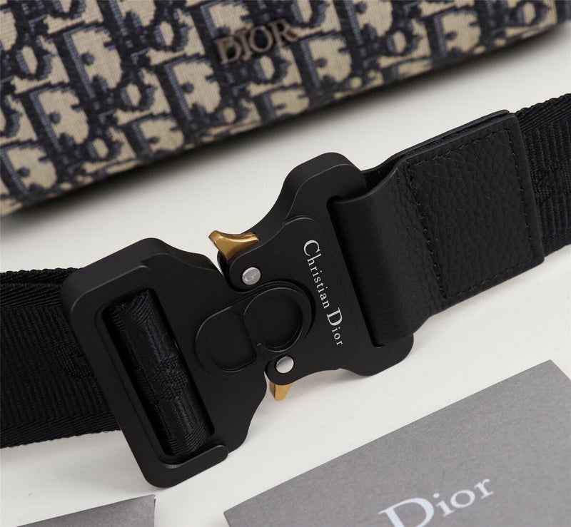 Dior Bag