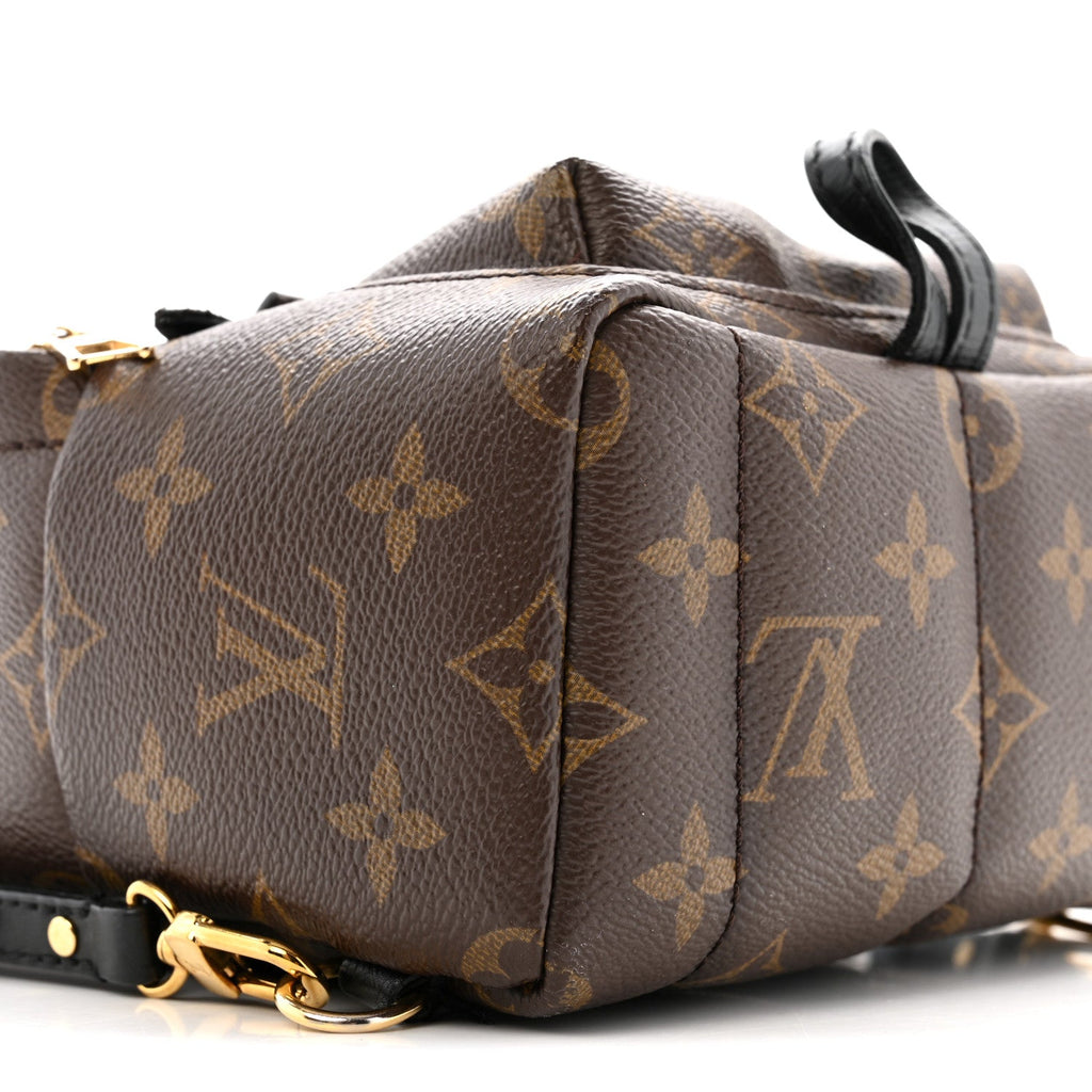 Louis Vuitton Monogram Palm Springs Backpack Mini