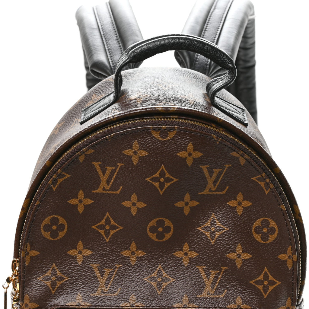 Louis Vuitton Monogram Palm Springs Backpack PM