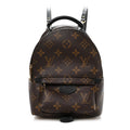 Louis Vuitton Monogram Palm Springs Backpack Mini
