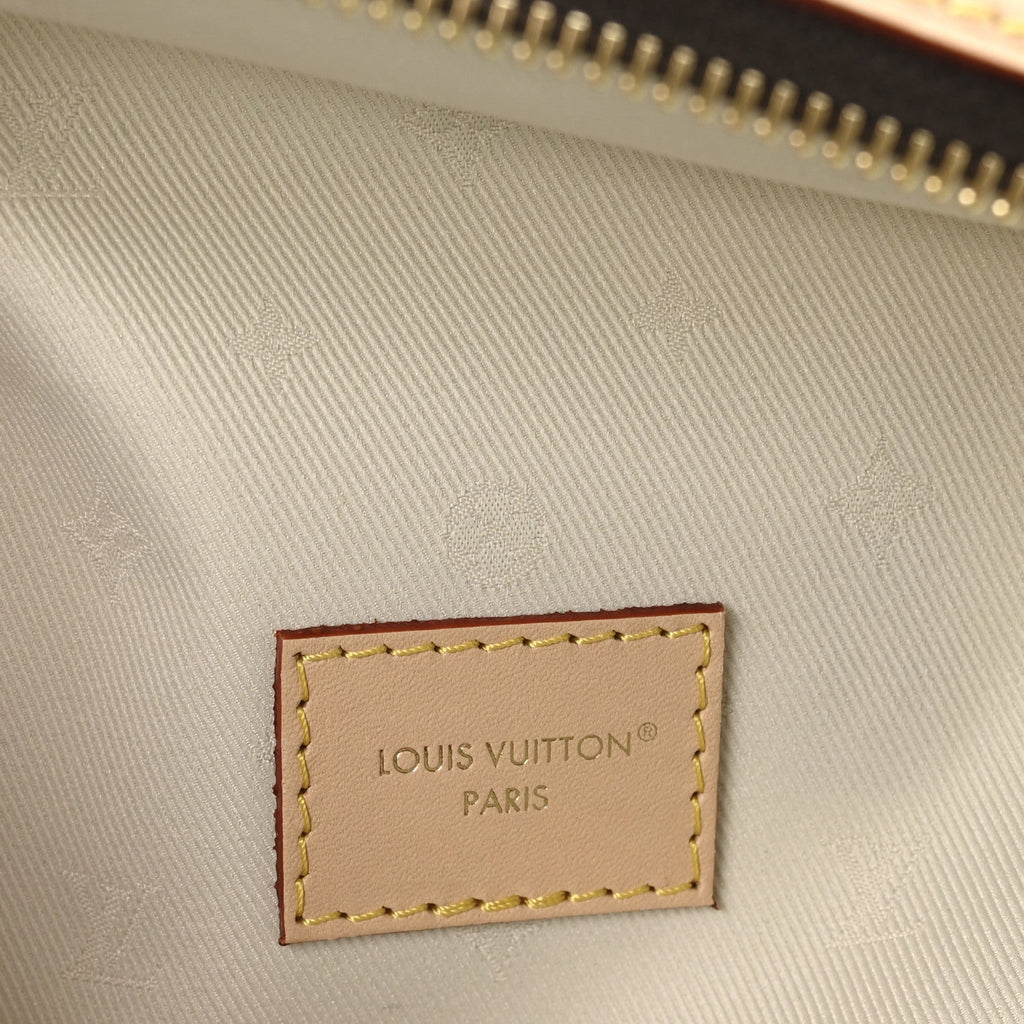 Louis Vuitton Monogram High Rise Bumbag
